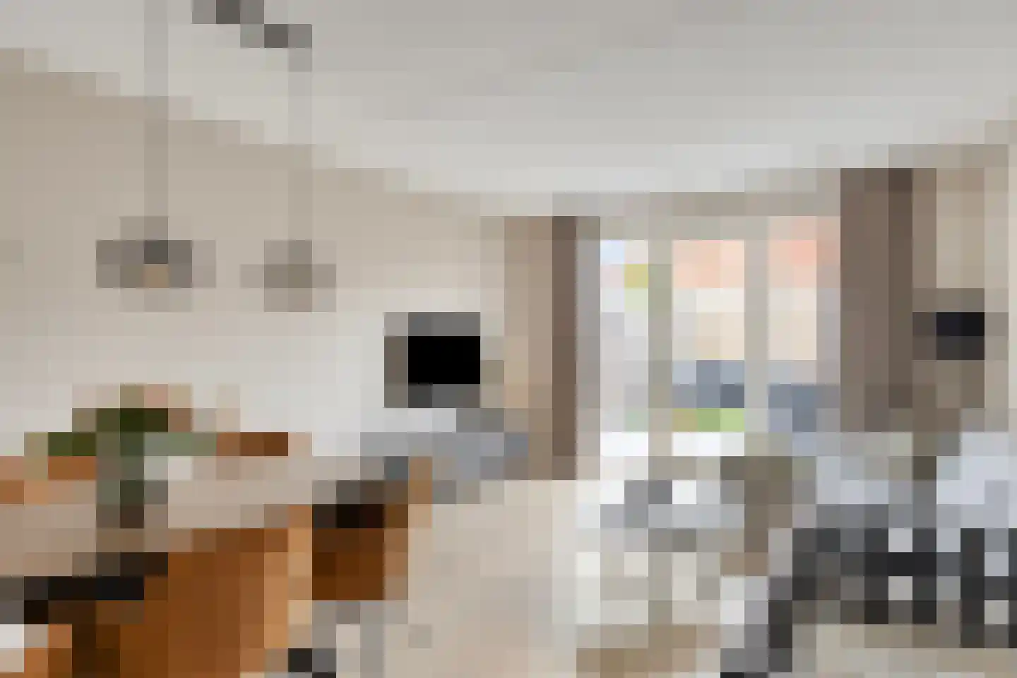 Dille 60 Asten thumbnail 16