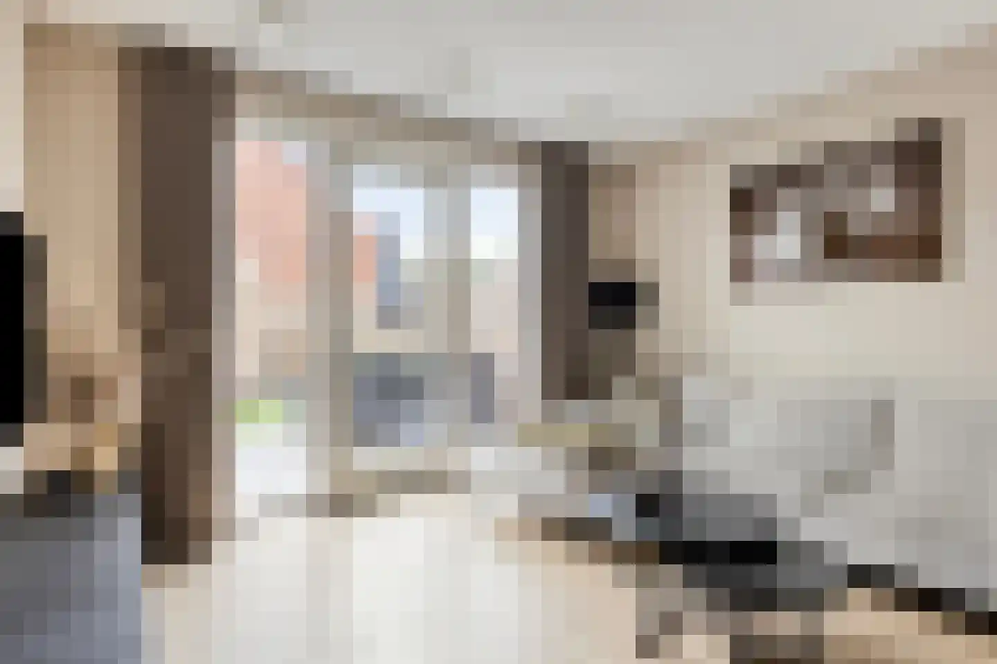 Dille 60 Asten thumbnail 17