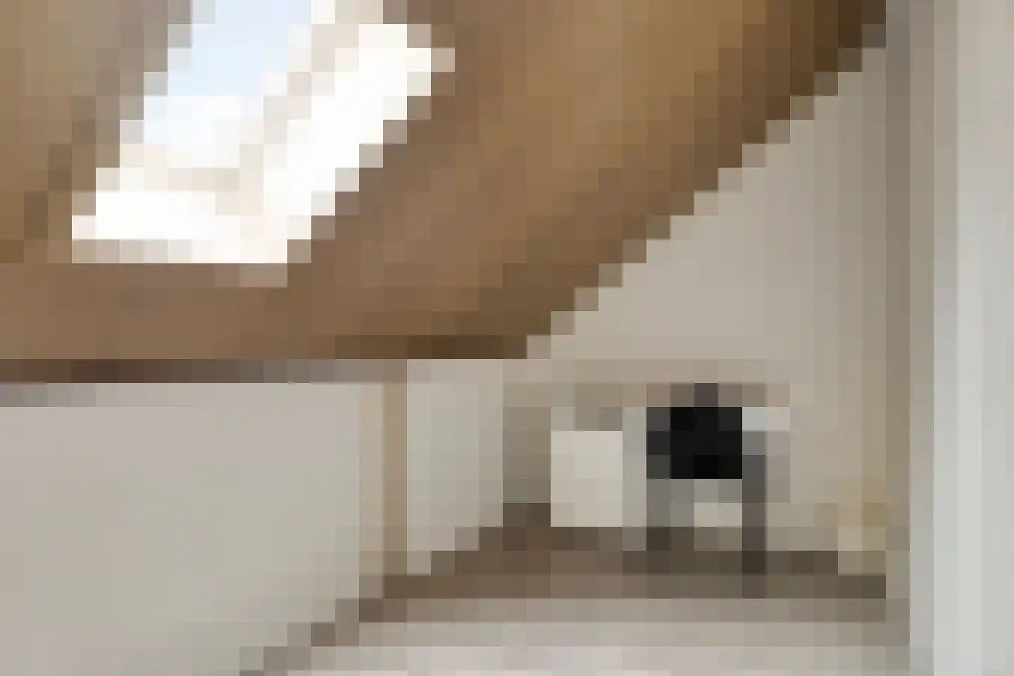 Dille 60 Asten thumbnail 29