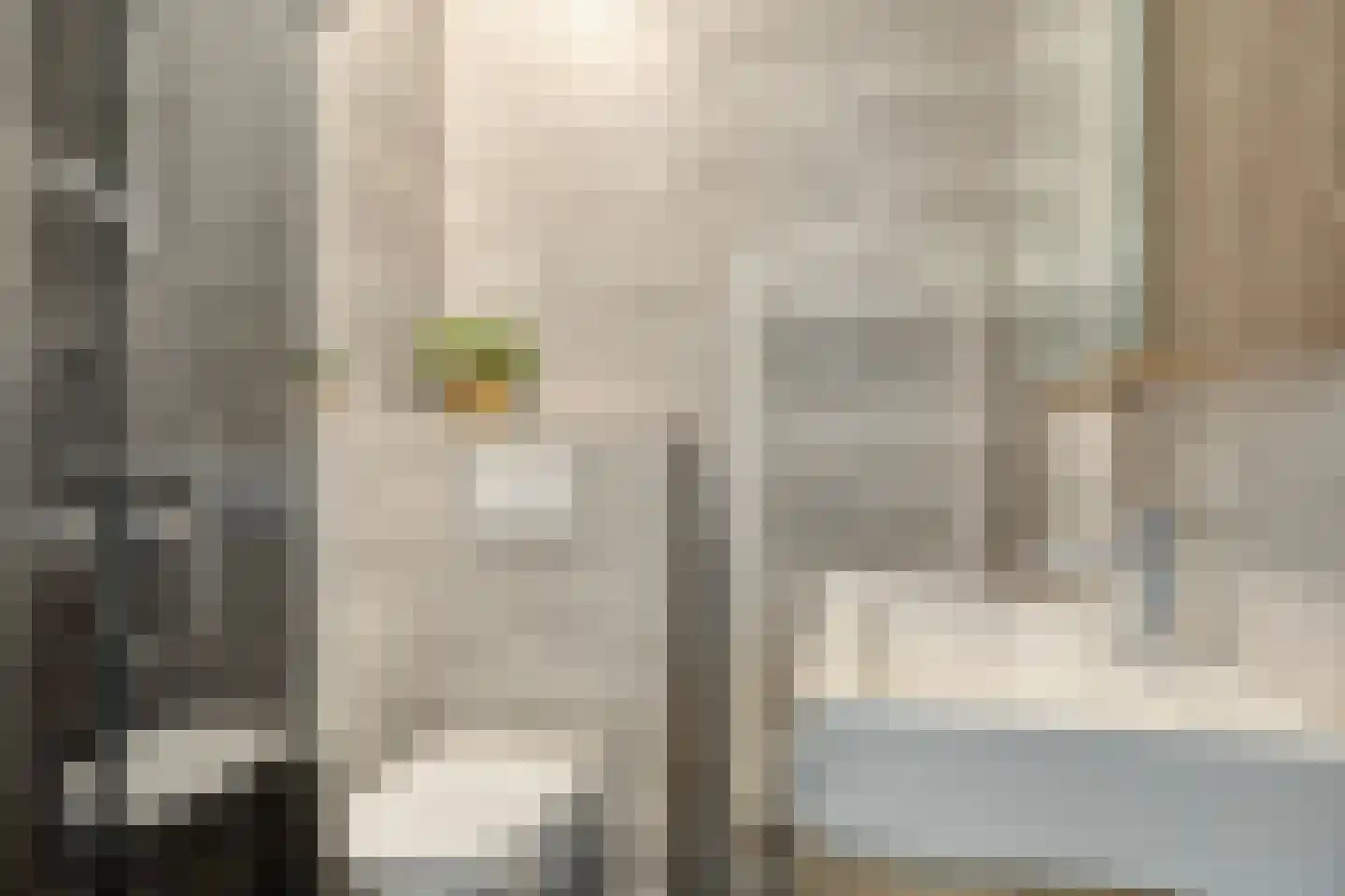 Dille 60 Asten thumbnail 4