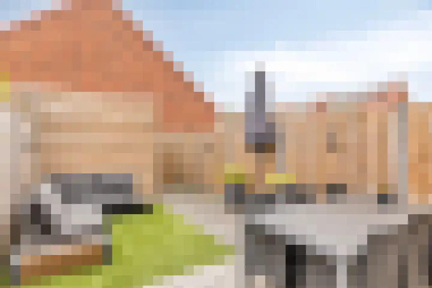 Dille 60 Asten thumbnail 5