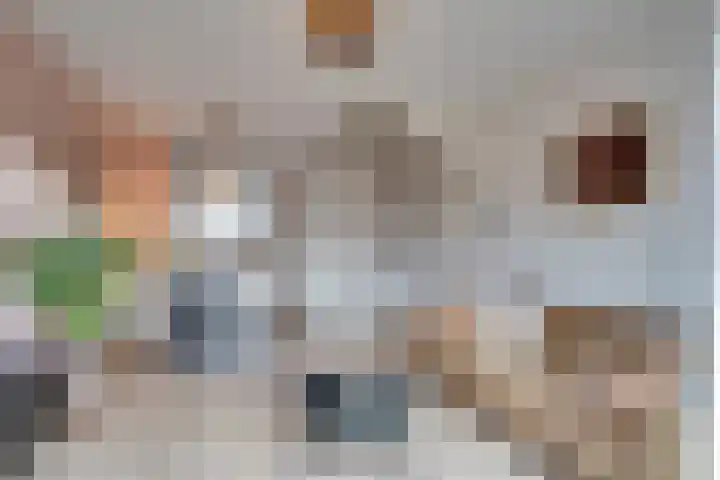 Dille 70 Asten thumbnail 10