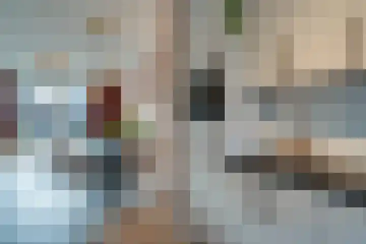 Dille 70 Asten thumbnail 16