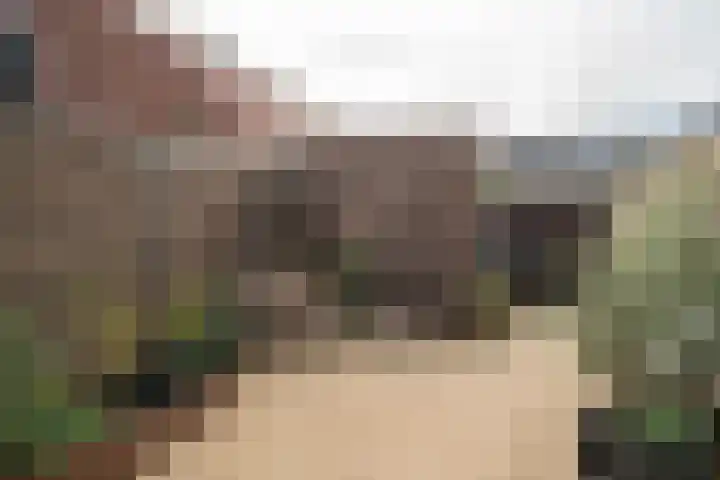 Dille 70 Asten thumbnail 18