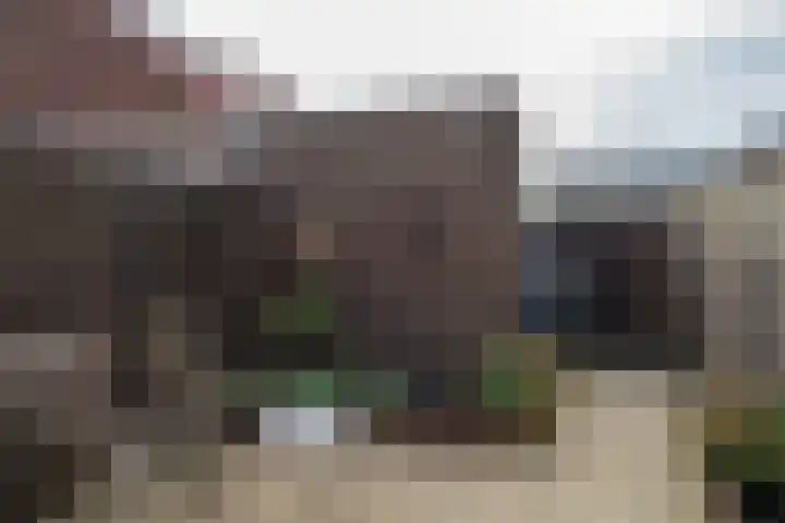 Dille 70 Asten thumbnail 19