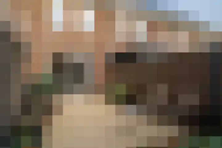 Dille 70 Asten thumbnail 20