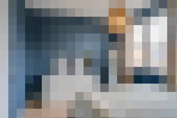 Dille 70 Asten thumbnail 24