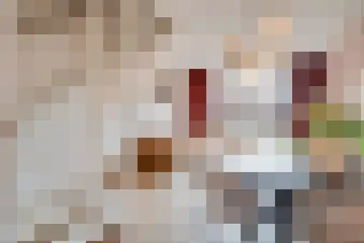 Dille 70 Asten thumbnail 7