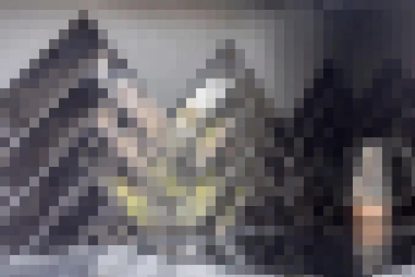 Dille 81 Asten thumbnail 10