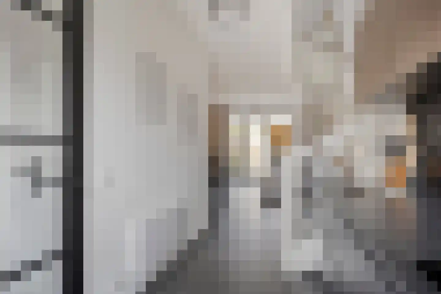 Dille 81 Asten thumbnail 12