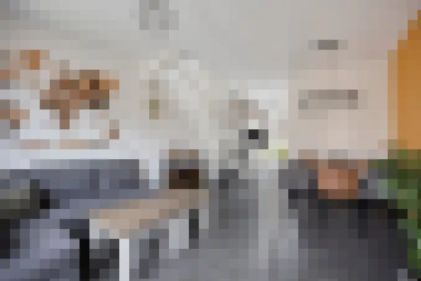 Dille 81 Asten thumbnail 13