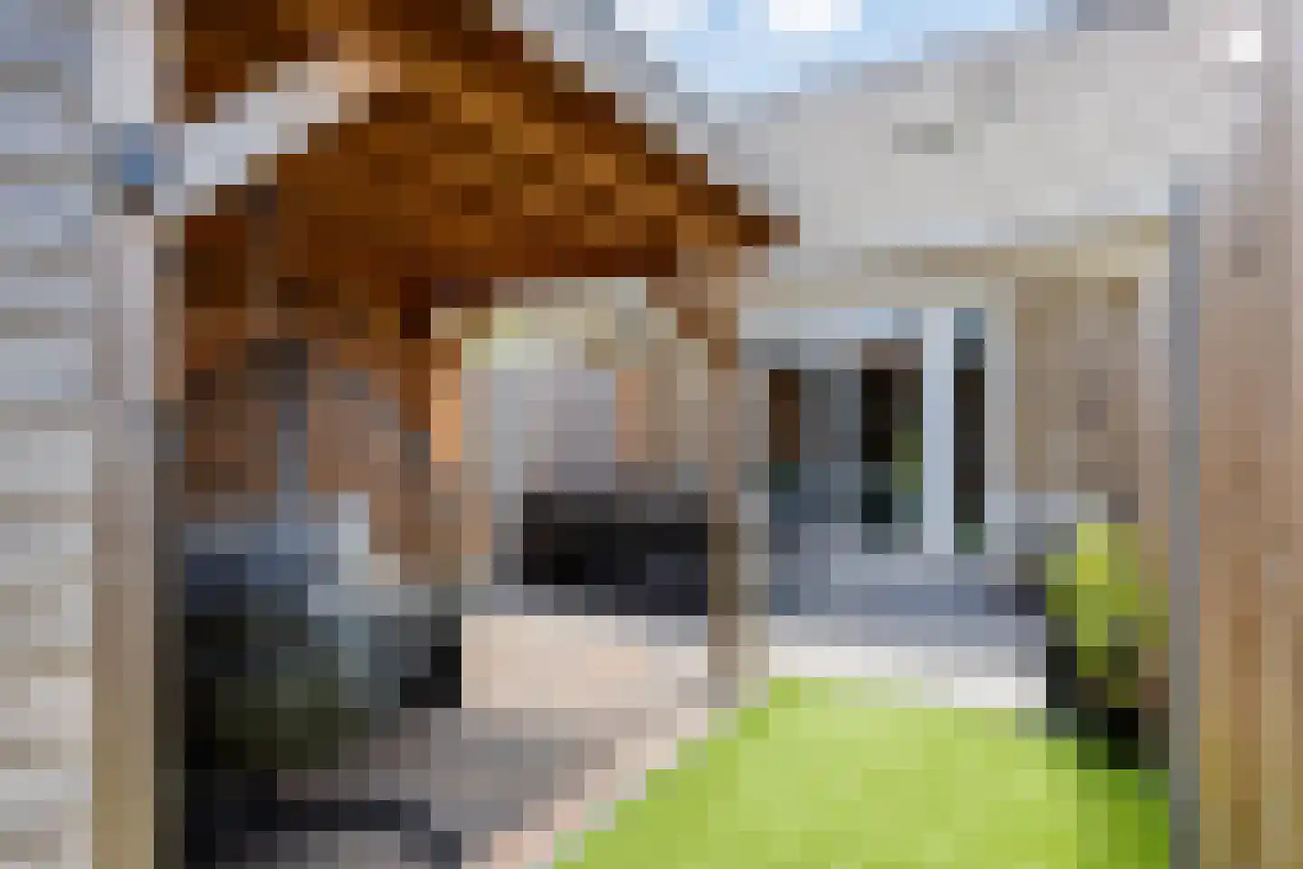 Dille 81 Asten thumbnail 28