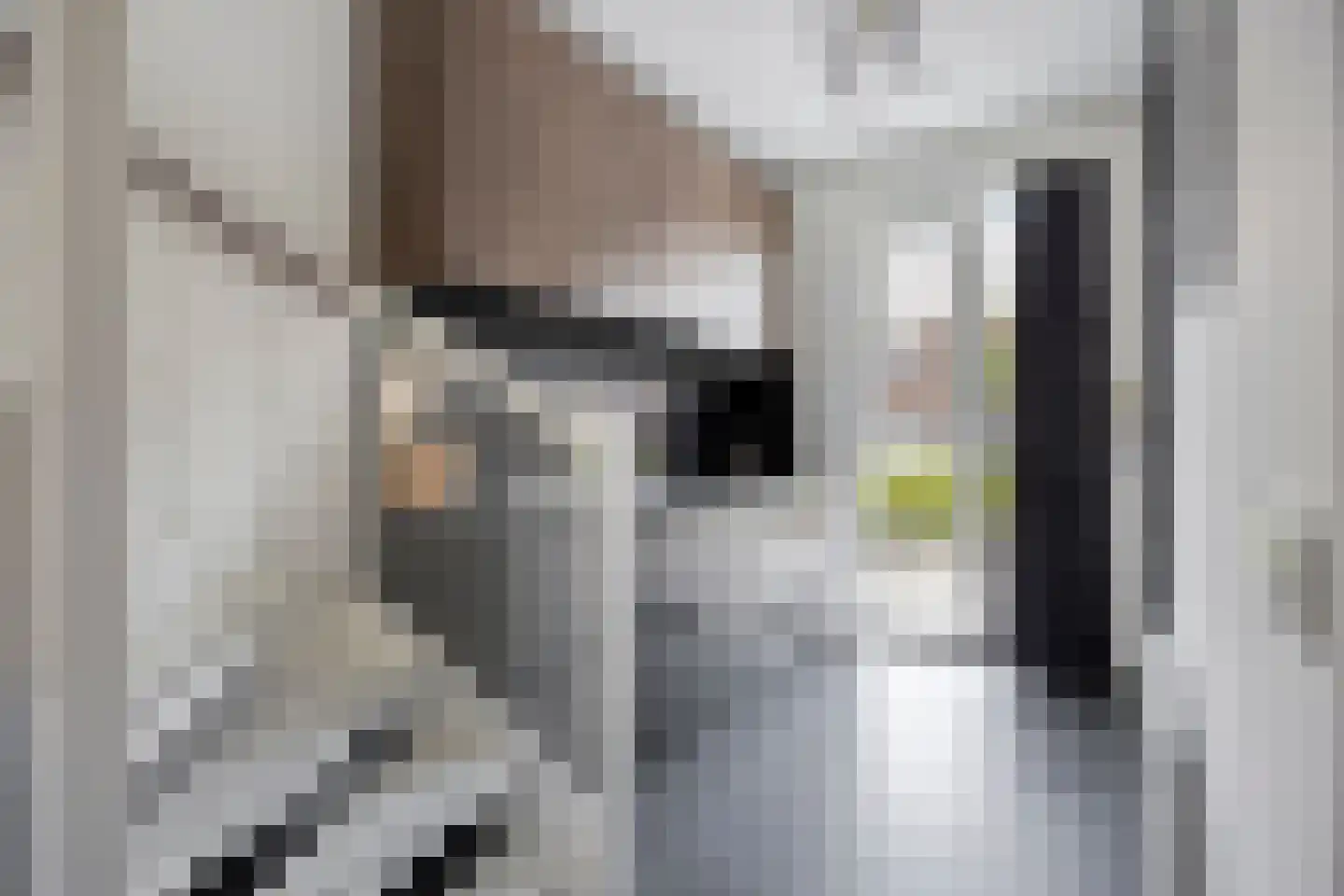 Dille 81 Asten thumbnail 7
