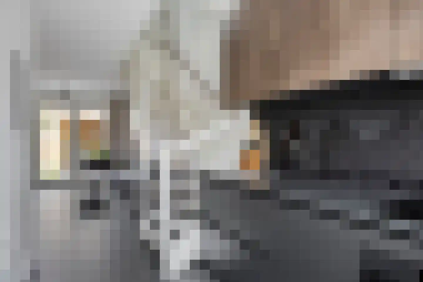 Dille 81 Asten thumbnail 8