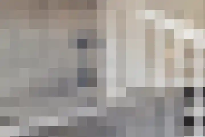 Dille 83 Asten thumbnail 10