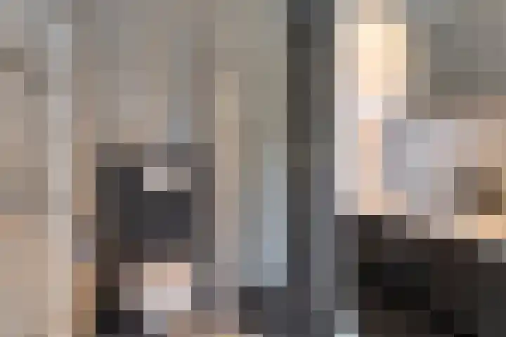 Dille 83 Asten thumbnail 11