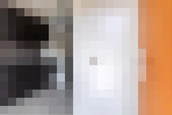 Dille 83 Asten thumbnail 13