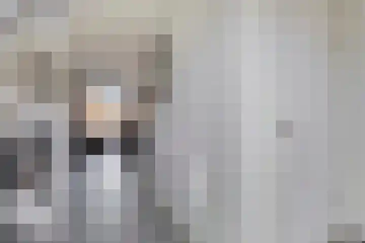 Dille 83 Asten thumbnail 14