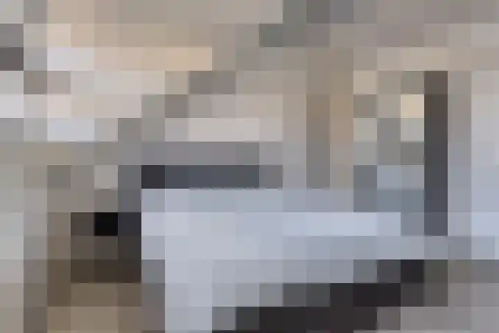 Dille 83 Asten thumbnail 15