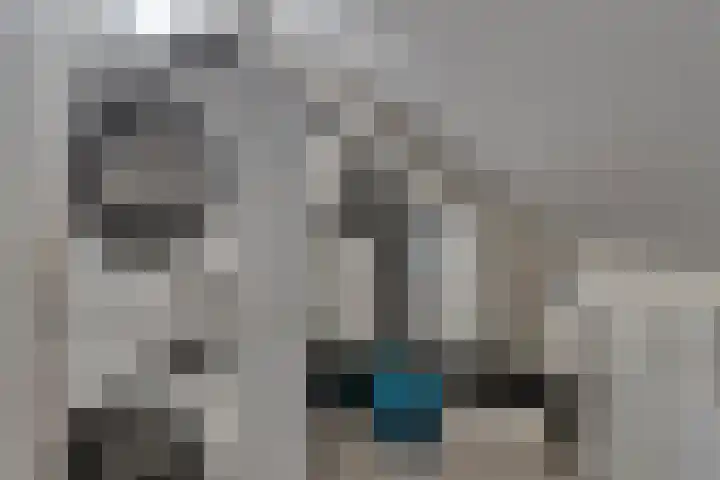 Dille 83 Asten thumbnail 17