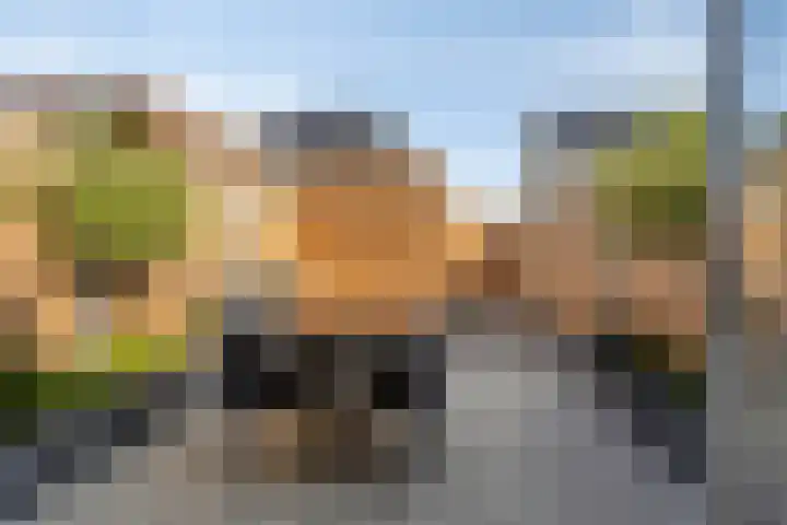 Dille 83 Asten thumbnail 18