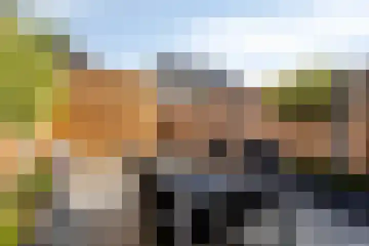 Dille 83 Asten thumbnail 19