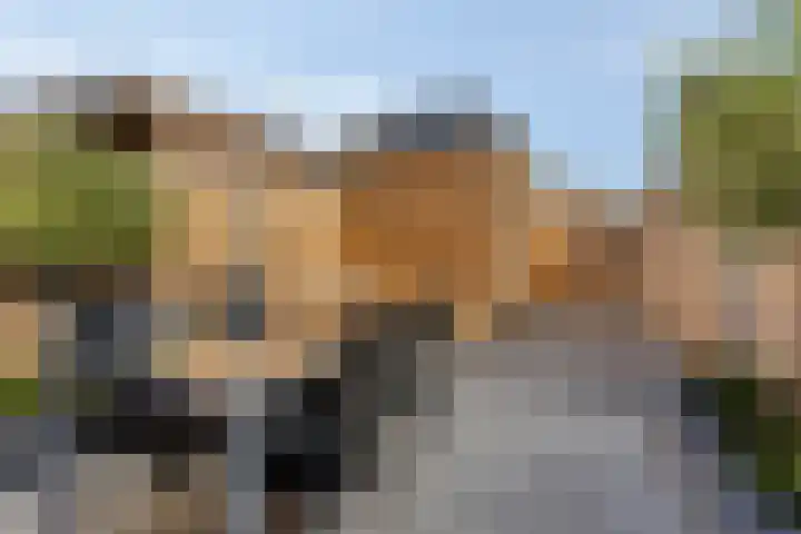 Dille 83 Asten thumbnail 20