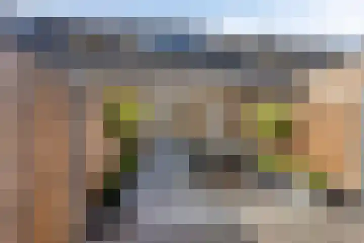 Dille 83 Asten thumbnail 21
