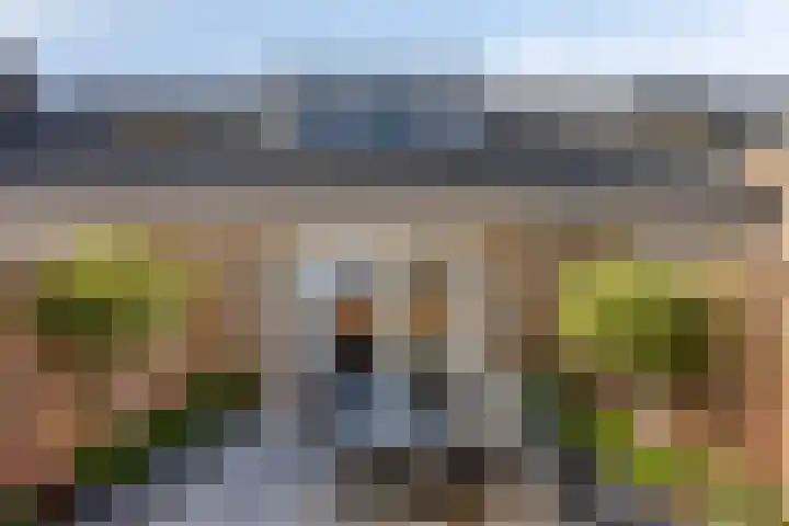 Dille 83 Asten thumbnail 22