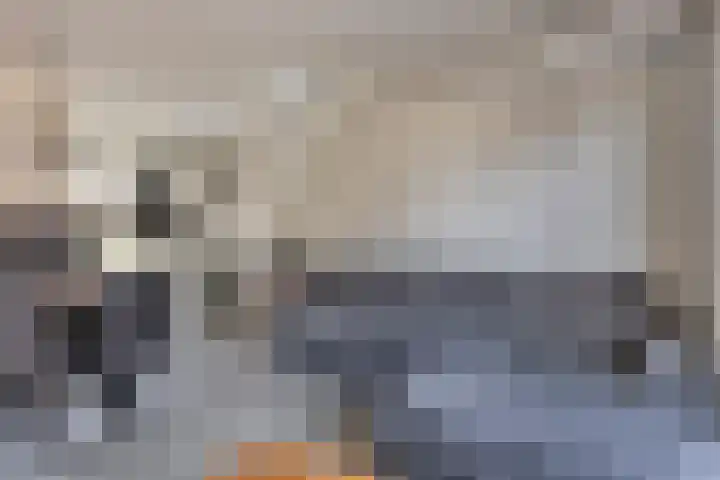 Dille 83 Asten thumbnail 4