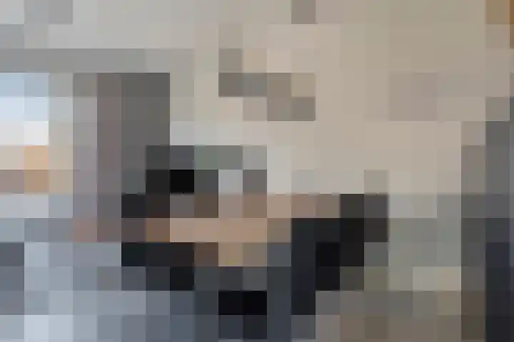 Dille 83 Asten thumbnail 6