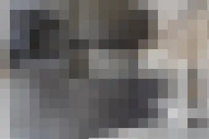 Dille 83 Asten thumbnail 8