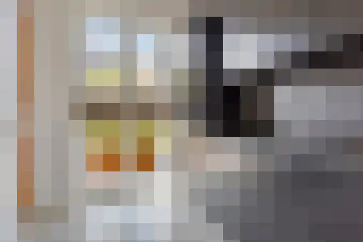 Dille 83 Asten thumbnail 9
