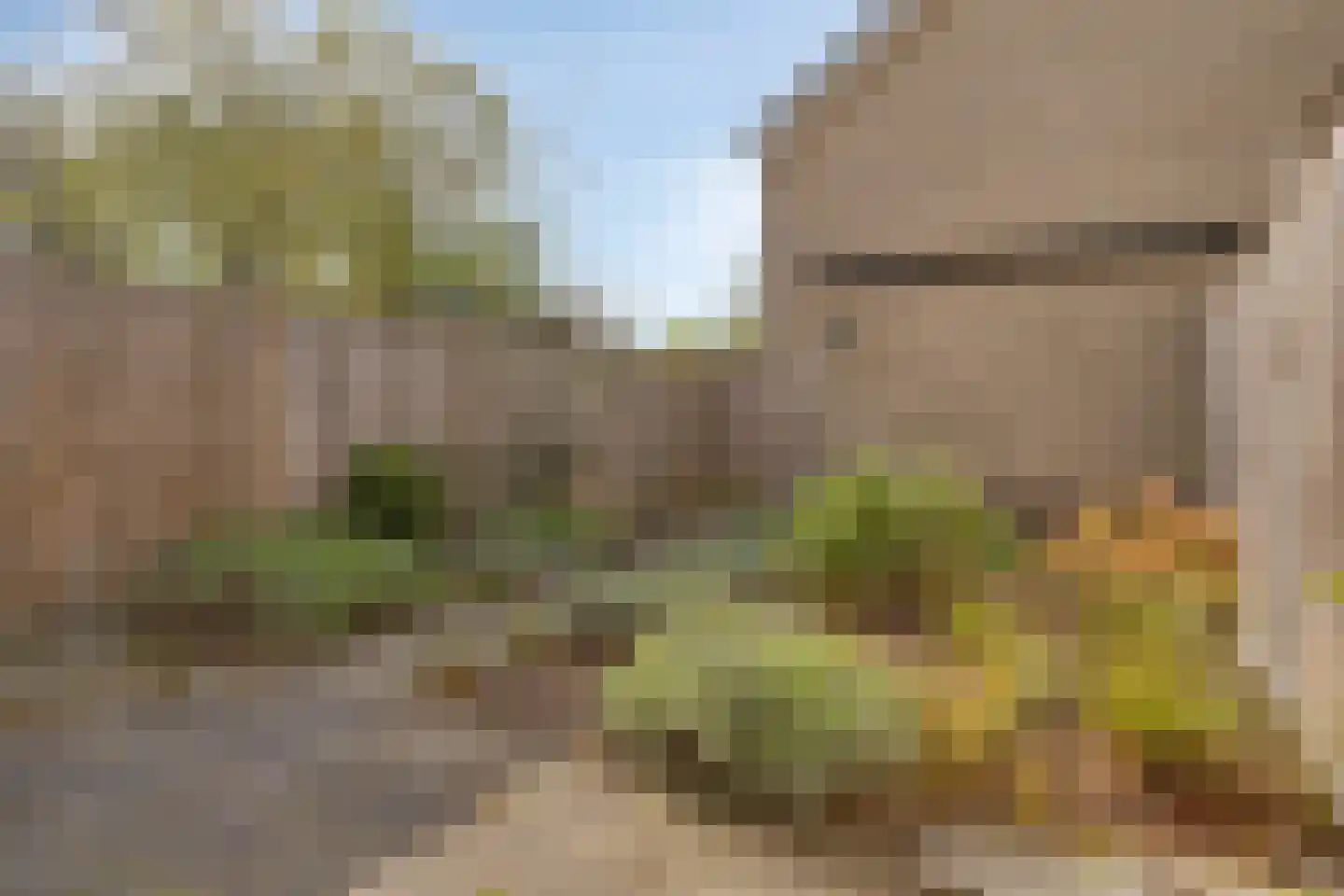 Dilleberg 4 Roosendaal thumbnail 33