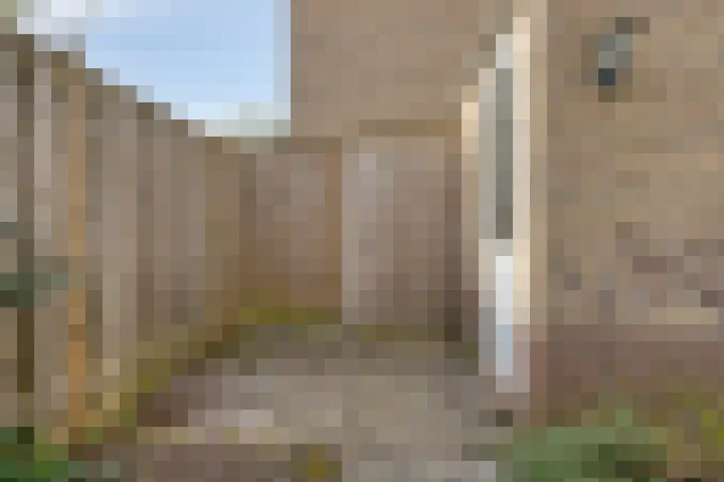 Dilleberg 4 Roosendaal thumbnail 34