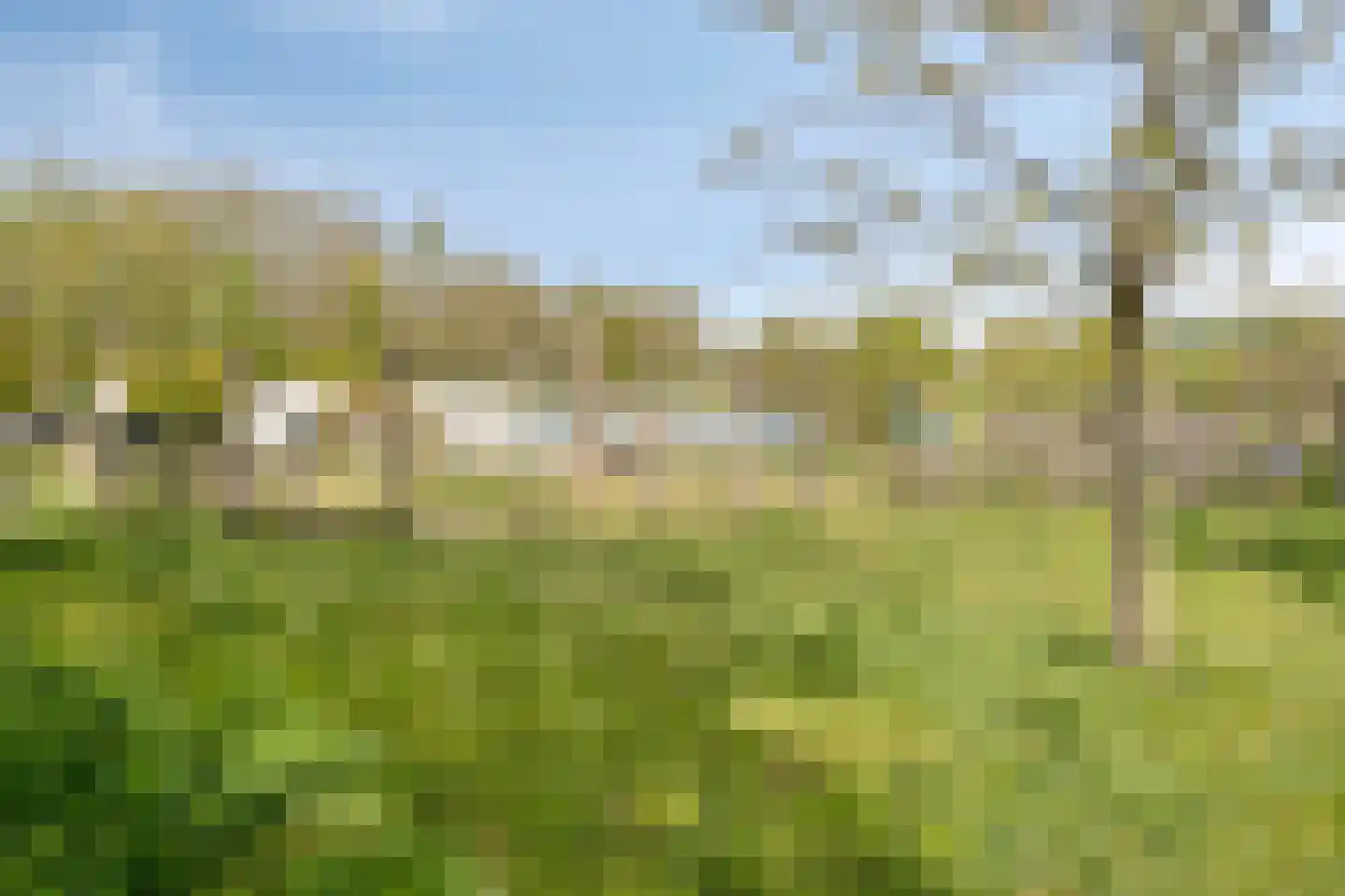 Dilleberg 4 Roosendaal thumbnail 41