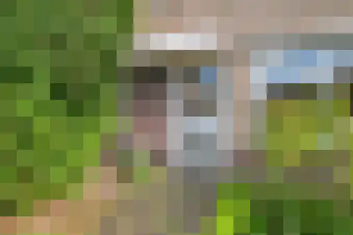 Dilleberg 66 in Roosendaal