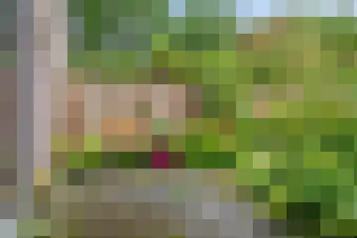 Dilleberg 66 Roosendaal thumbnail 33