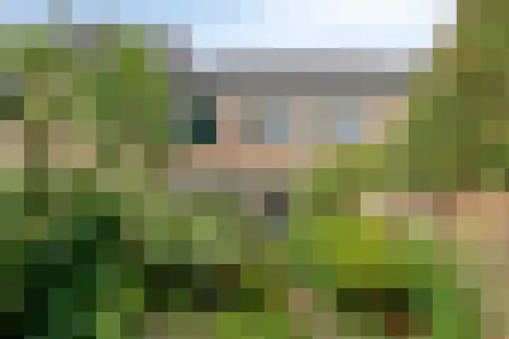 Dilleberg 66 Roosendaal thumbnail 36