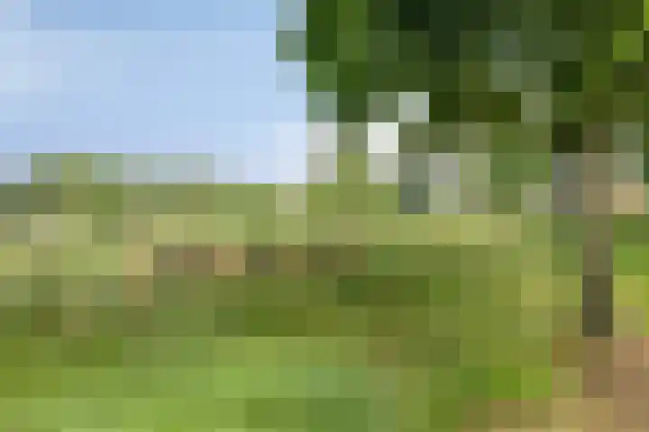 Dilleberg 66 Roosendaal thumbnail 42