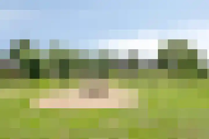 Dilleberg 66 Roosendaal thumbnail 44