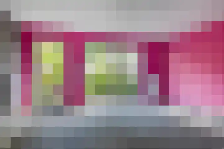 Dilleberg 66 Roosendaal thumbnail 8