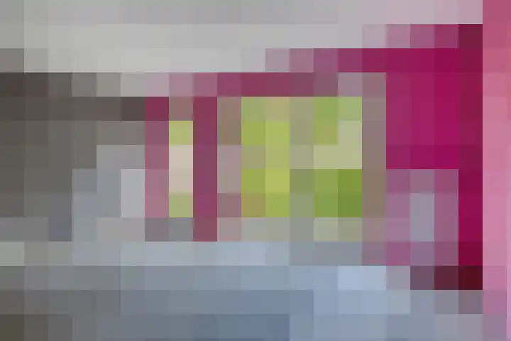 Dilleberg 66 Roosendaal thumbnail 9