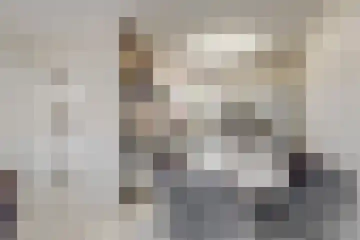 Dilledonk-Noord 3 Spijkenisse thumbnail 10