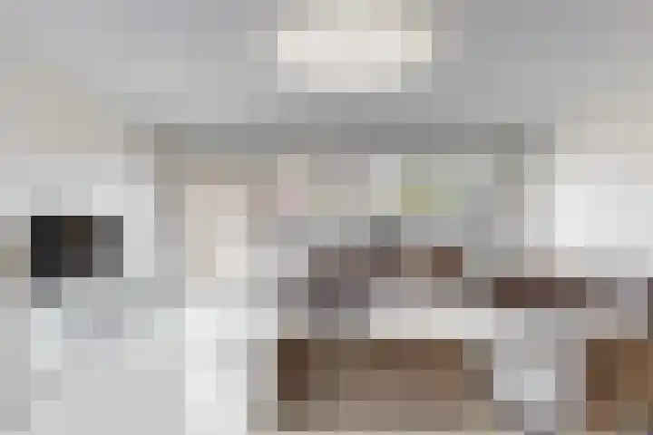 Dilledonk-Noord 3 Spijkenisse thumbnail 11