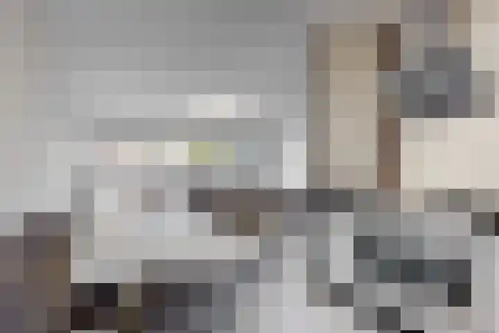 Dilledonk-Noord 3 Spijkenisse thumbnail 12