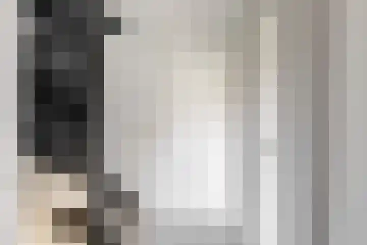 Dilledonk-Noord 3 Spijkenisse thumbnail 14