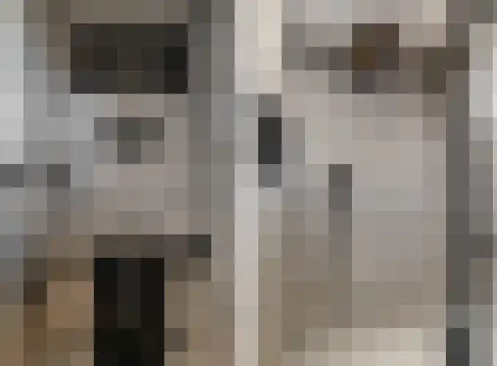 Dilledonk-Noord 3 Spijkenisse thumbnail 22