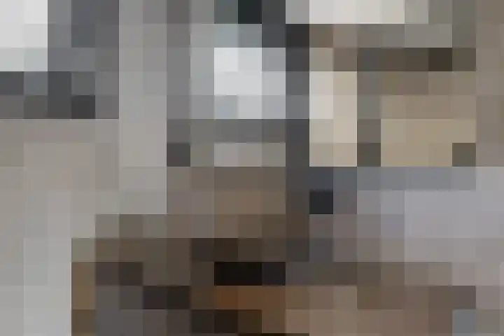 Dilledonk-Noord 3 Spijkenisse thumbnail 23