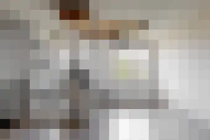 Dilledonk-Noord 3 Spijkenisse thumbnail 25